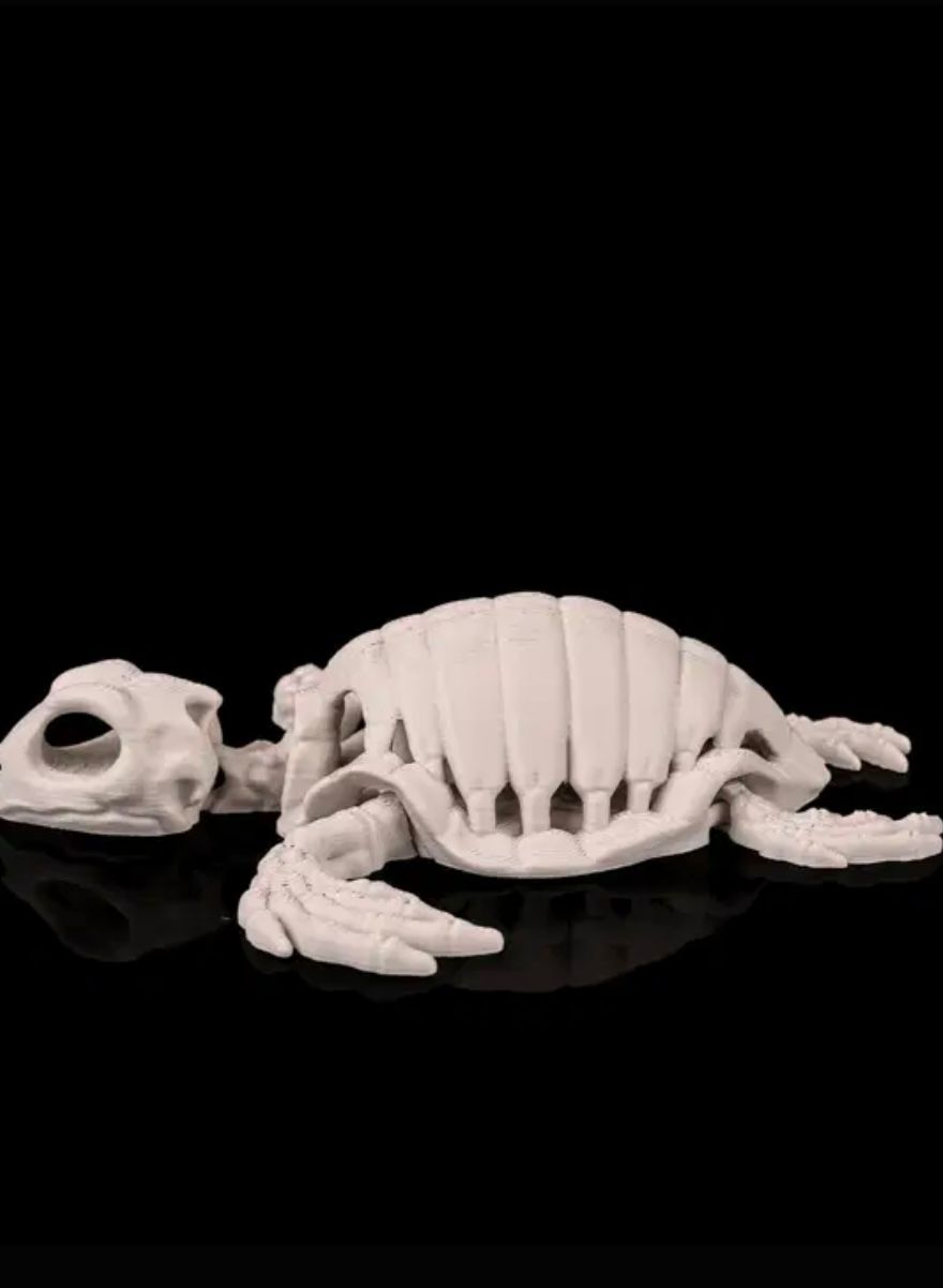 Articulated Sea Turtle