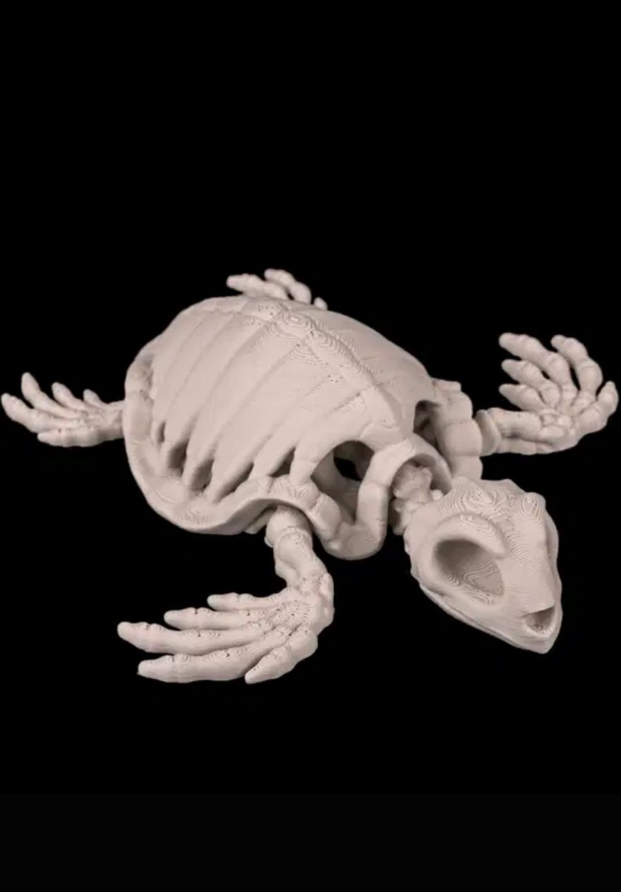 Articulated Sea Turtle