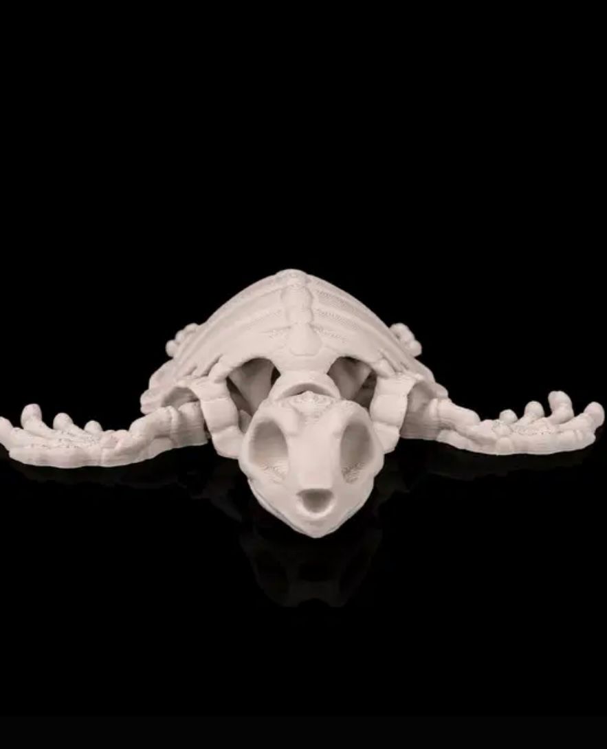 Articulated Sea Turtle