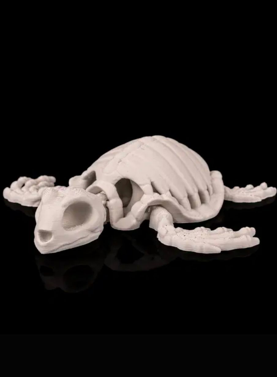 Articulated Sea Turtle
