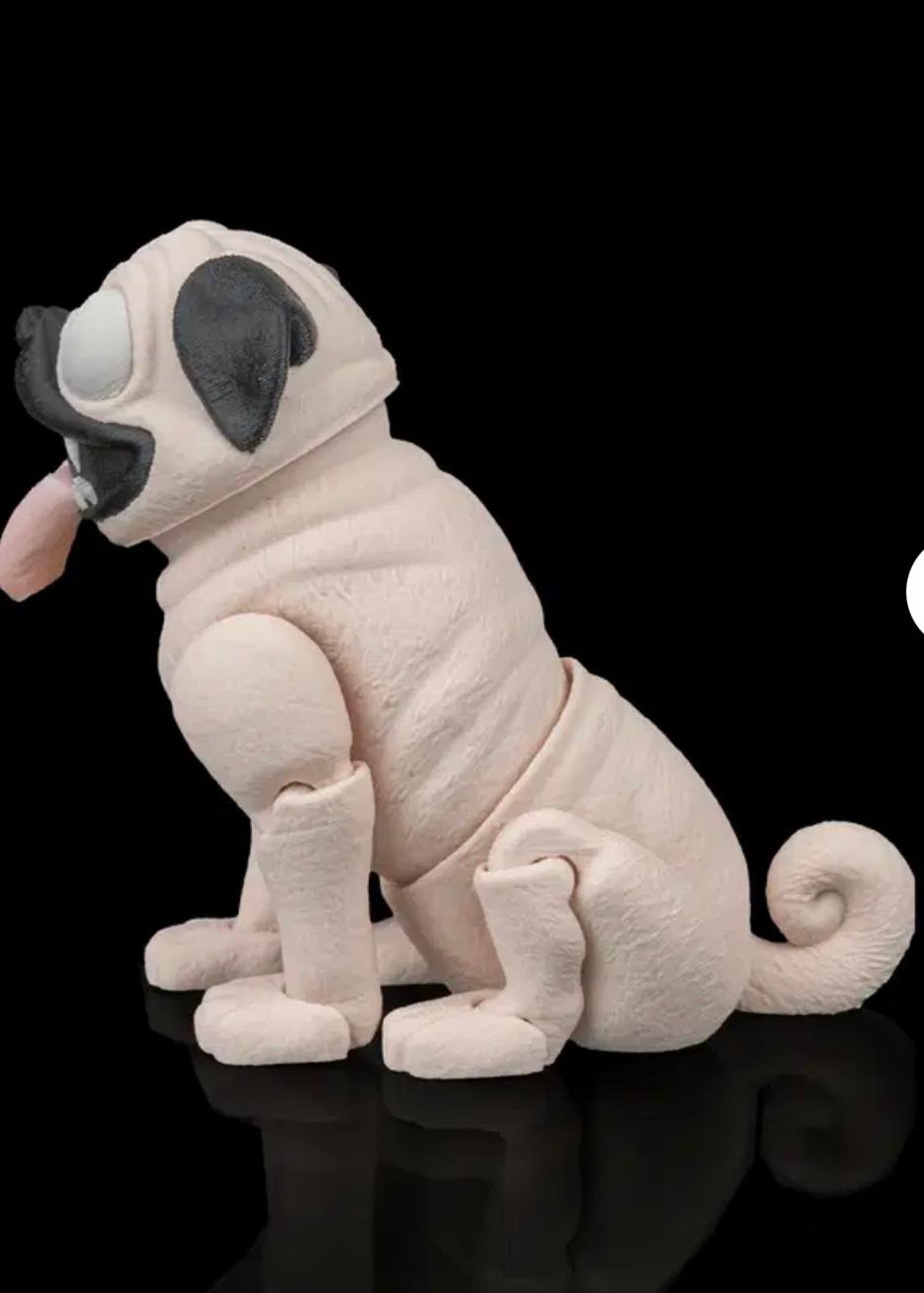 Articulated Pug With Cone