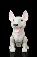 English Bull Terrier With Moving Parts