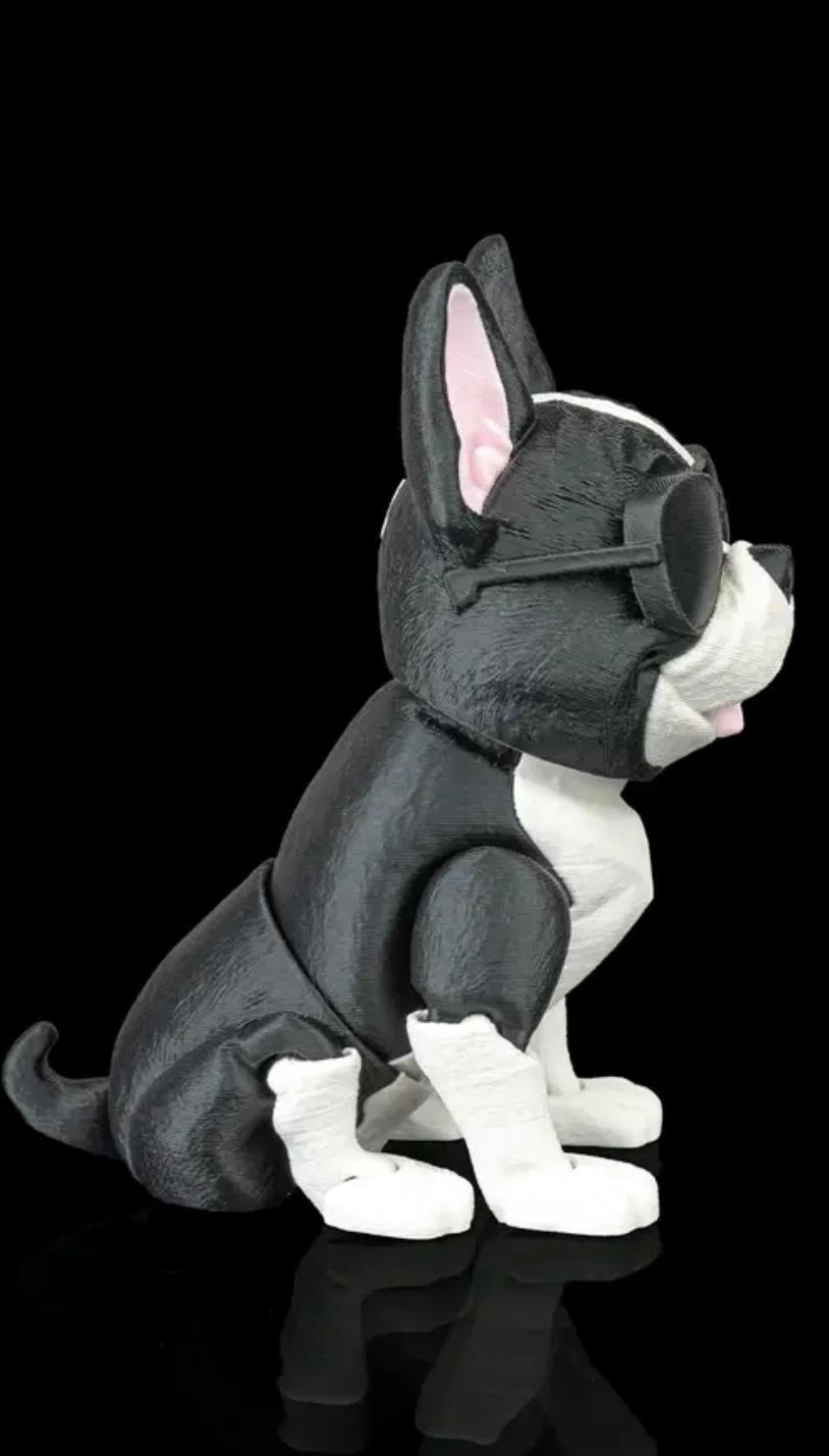 French Bulldog With Moving Parts
