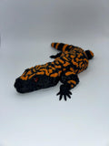 Glass Eyed Gila Monster