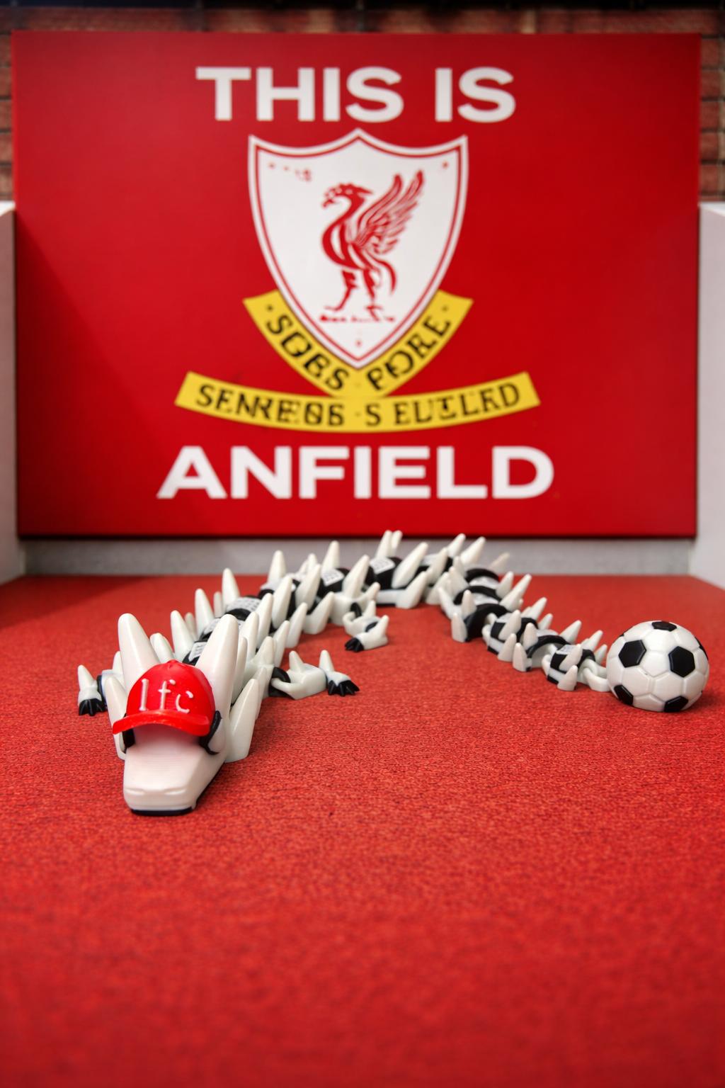 Articulated Football Dragon
