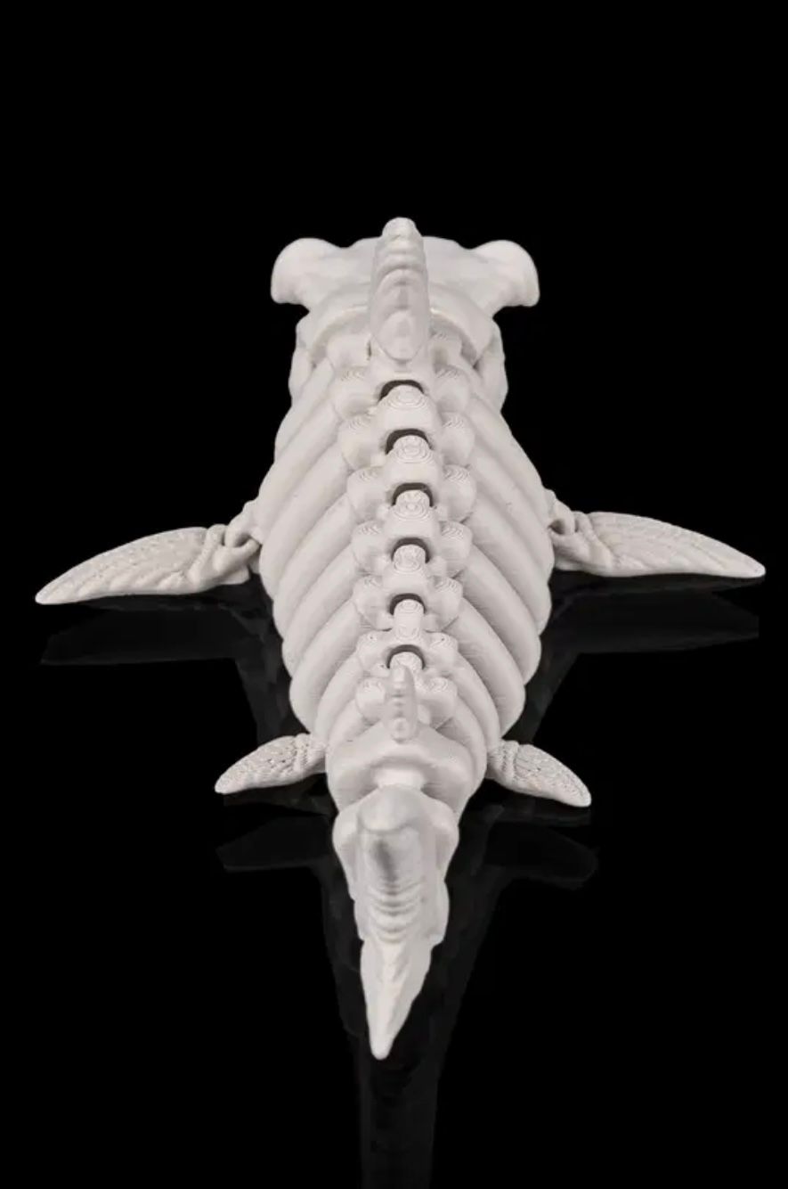 Articulated Hammerhead Shark
