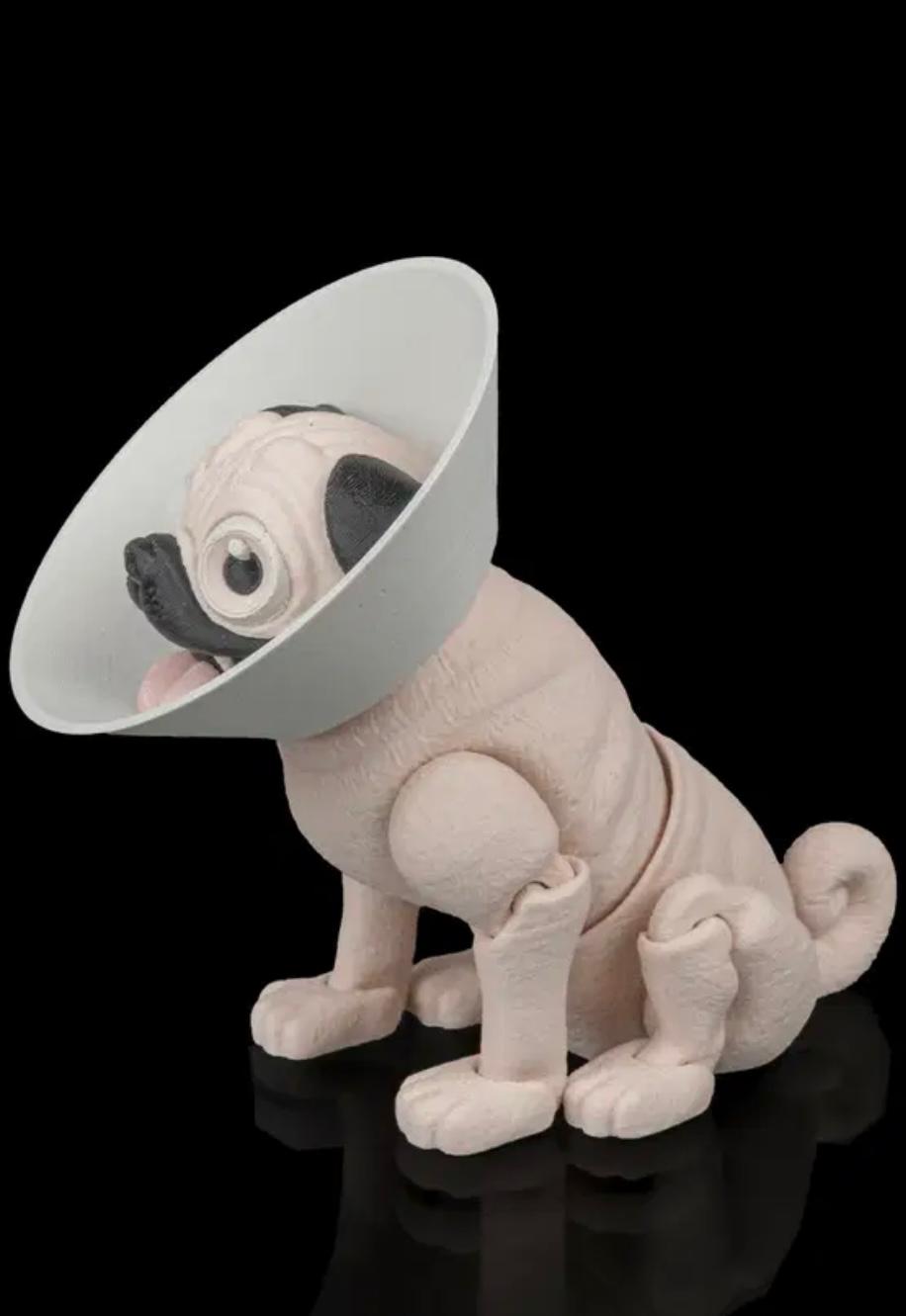 Articulated Pug With Cone