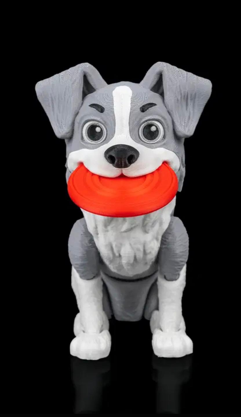 Articulated Collie With Frisby