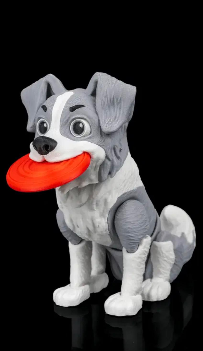 Articulated Collie With Frisby