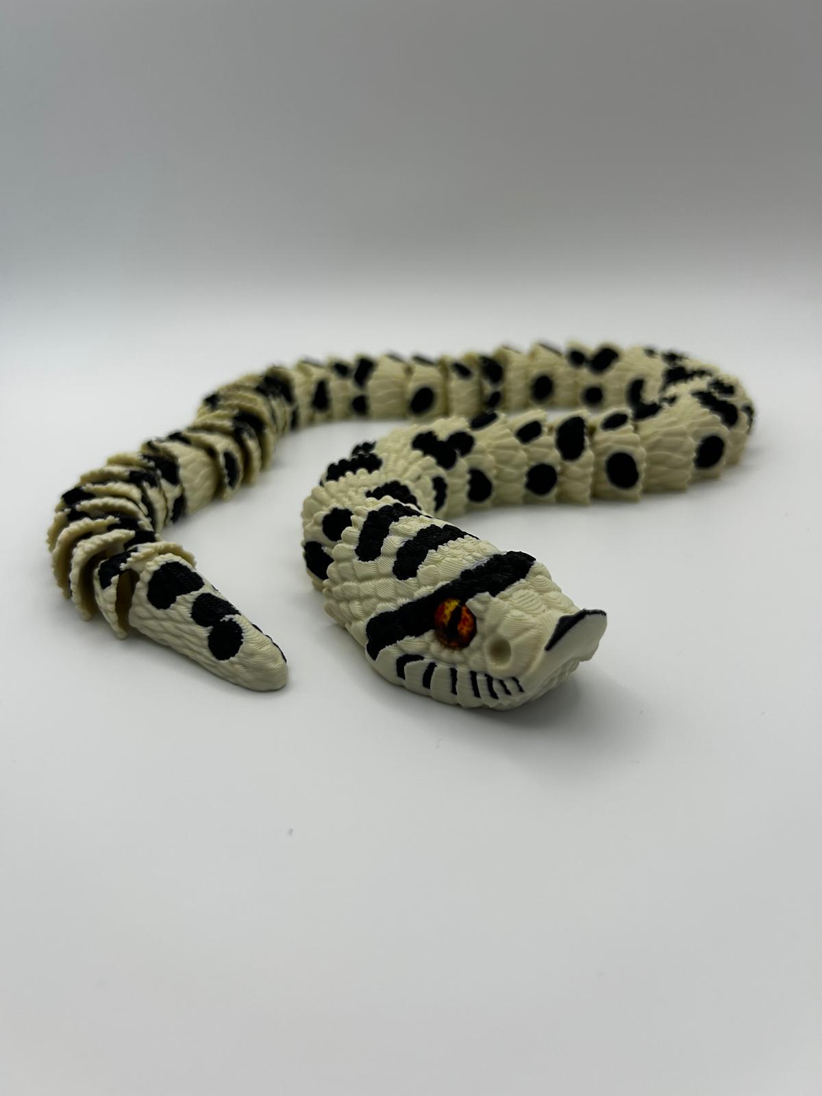 Glass Eyed Hognose Snake