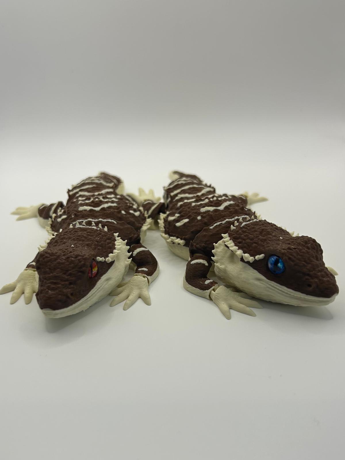 Glass Eyed Bearded Dragon